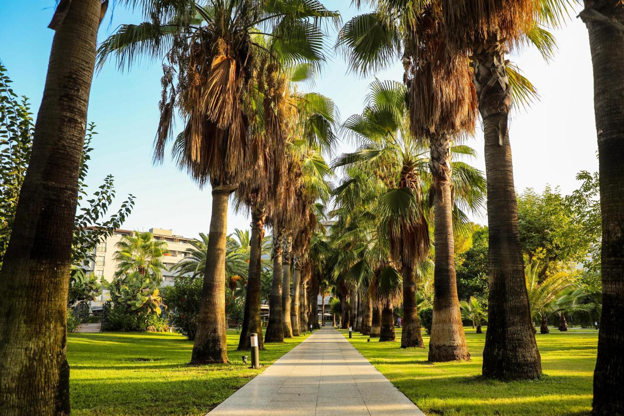 Miramare Beach Hotel - Ultra All Inclusive Side Esterno foto